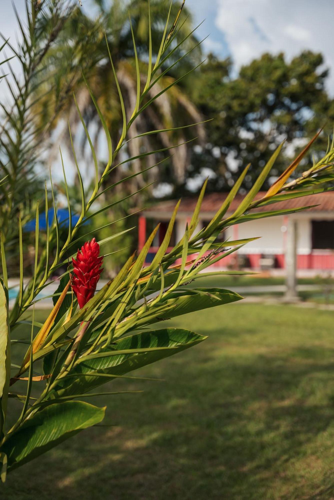 Finca Hotel Puerto Espejo Exteriör bild